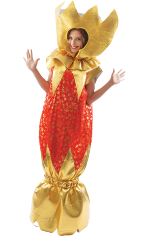 adult Christmas cracker costume